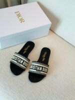 Christian Dior Dway slide