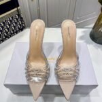 Gianvito Rossi Shoes With Transparent Upper Beige