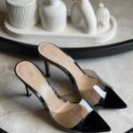 Gianvito Rossi Elle 105 Plexi Mules In Black
