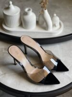 Gianvito Rossi Elle 105 Plexi Mules In Black
